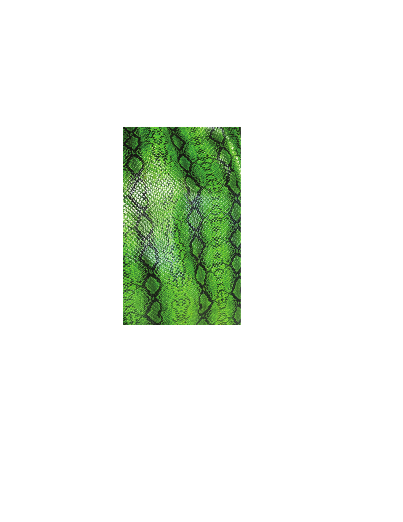 Fabric swatch